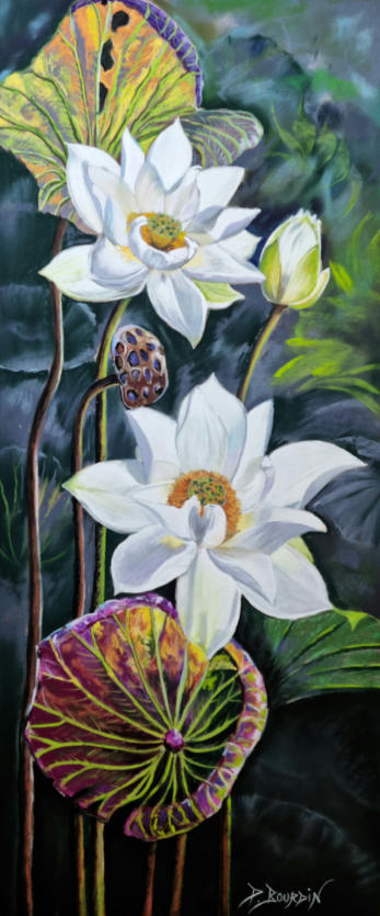 Le lotus blanc
